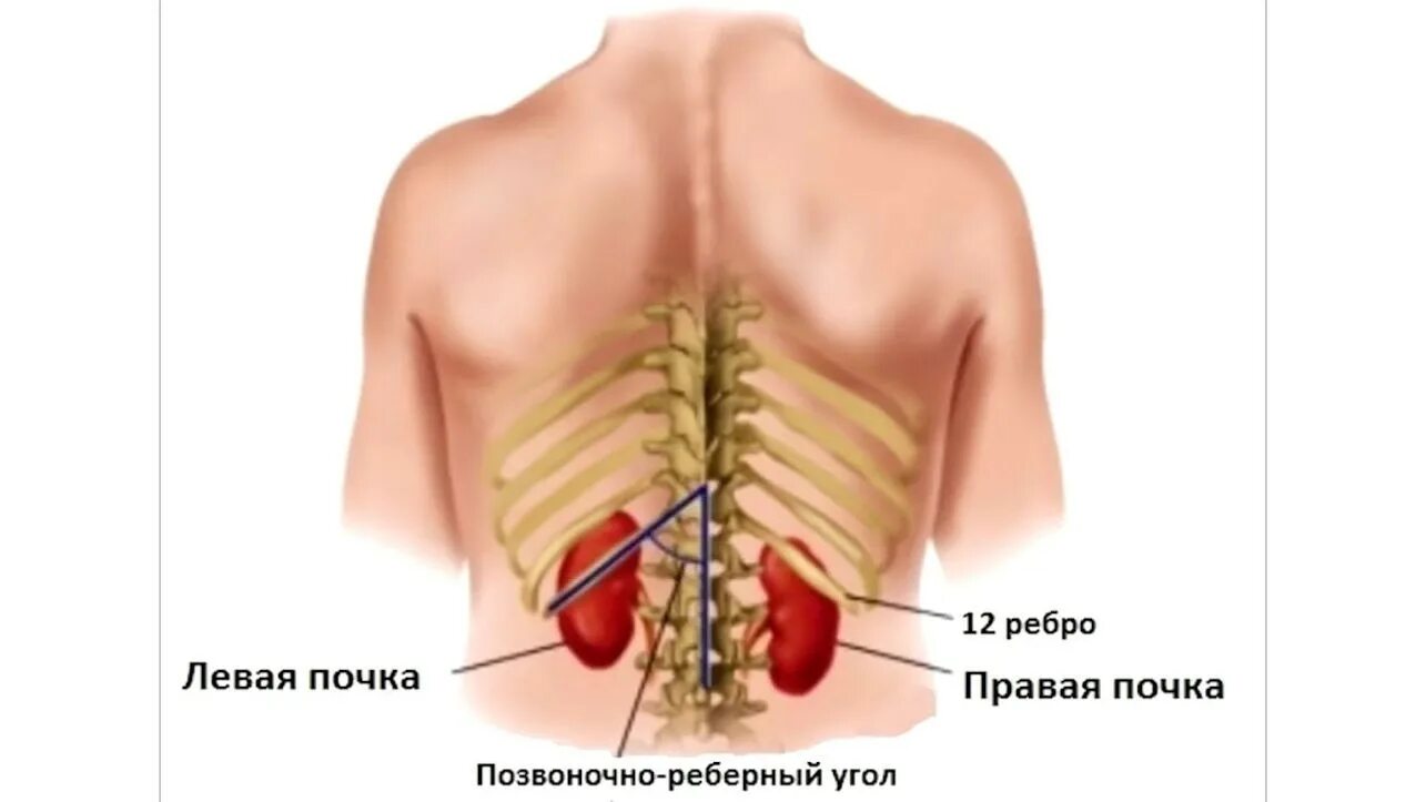 30 лучших изображений доски "Выкройки" в 2020 г Выкройки, Пошив модной одежды, П