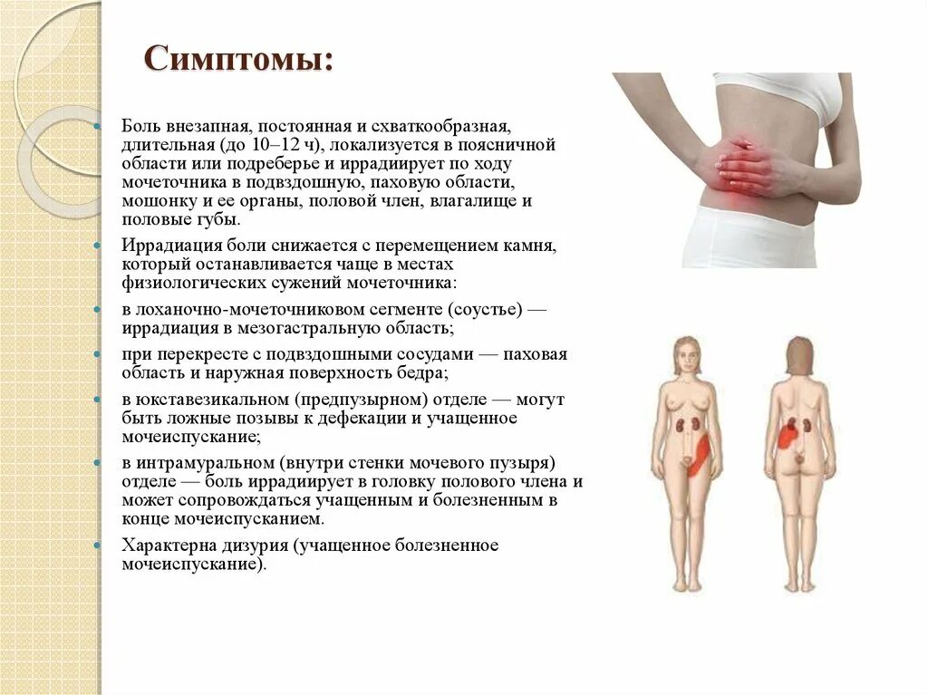 Почки где болят у женщин симптомы фото Симптомы болей в почках у женщин признаки