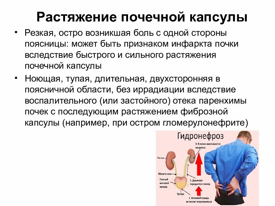 Почки где болят у женщин симптомы фото Сильные боли почке правом: найдено 81 изображений