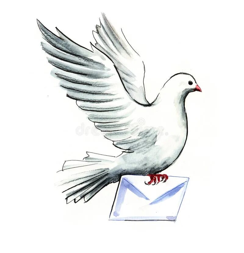 Почтовый голубь фото с письмом Dove mail stock illustration. Illustration of letter - 99981762