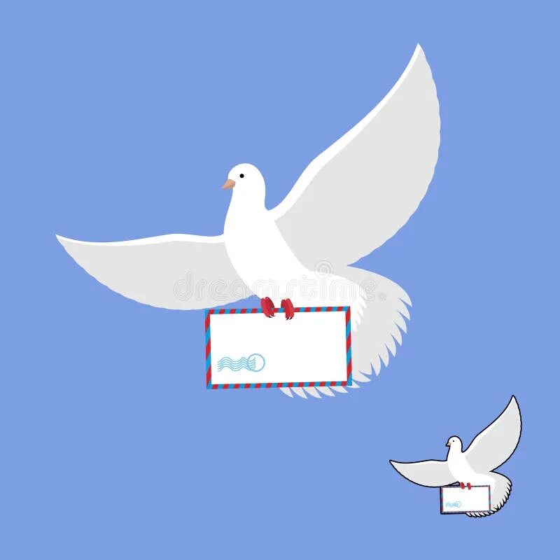 Почтовый голубь фото с письмом Postal Pigeon and Mailing Envelope. White Dove Carries and Mail Stock Vector - I