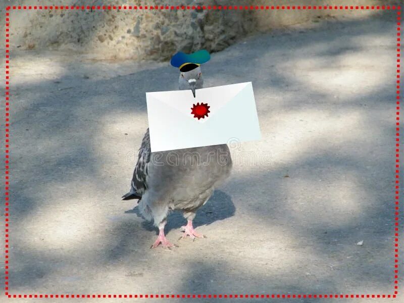 Почтовый голубь фото с письмом Carrier pigeon with letter stock image. Image of heart - 48258693