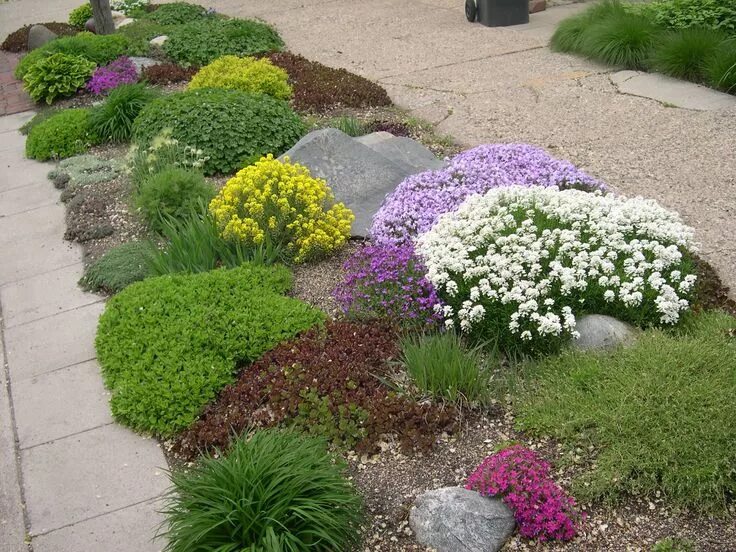 Почвопокровные растения в ландшафтном дизайне фото Lush boulevard garden in spring. Would need some hearty stuff to survive & bloom