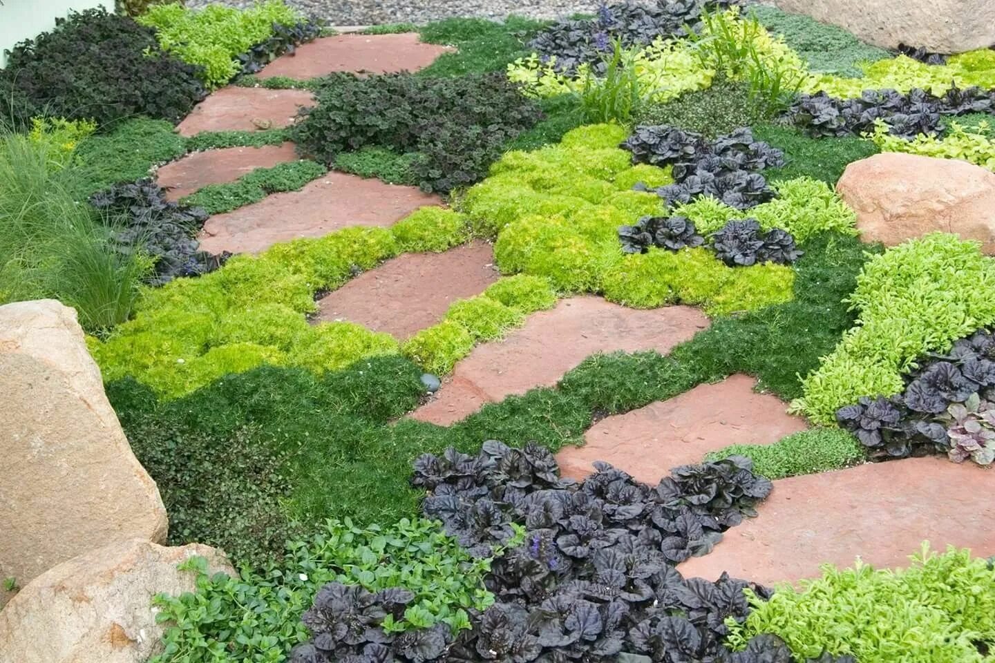 Почвопокровные в ландшафтном дизайне Pin by Sue Andersen on Design Ideas Succulents garden, Ground cover plants, Gard