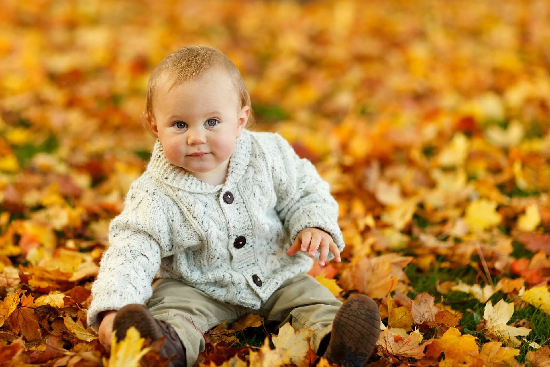 Под фото ребенку осенью Download Very Cute Baby With Autumn Leaves Wallpaper Wallpapers.com