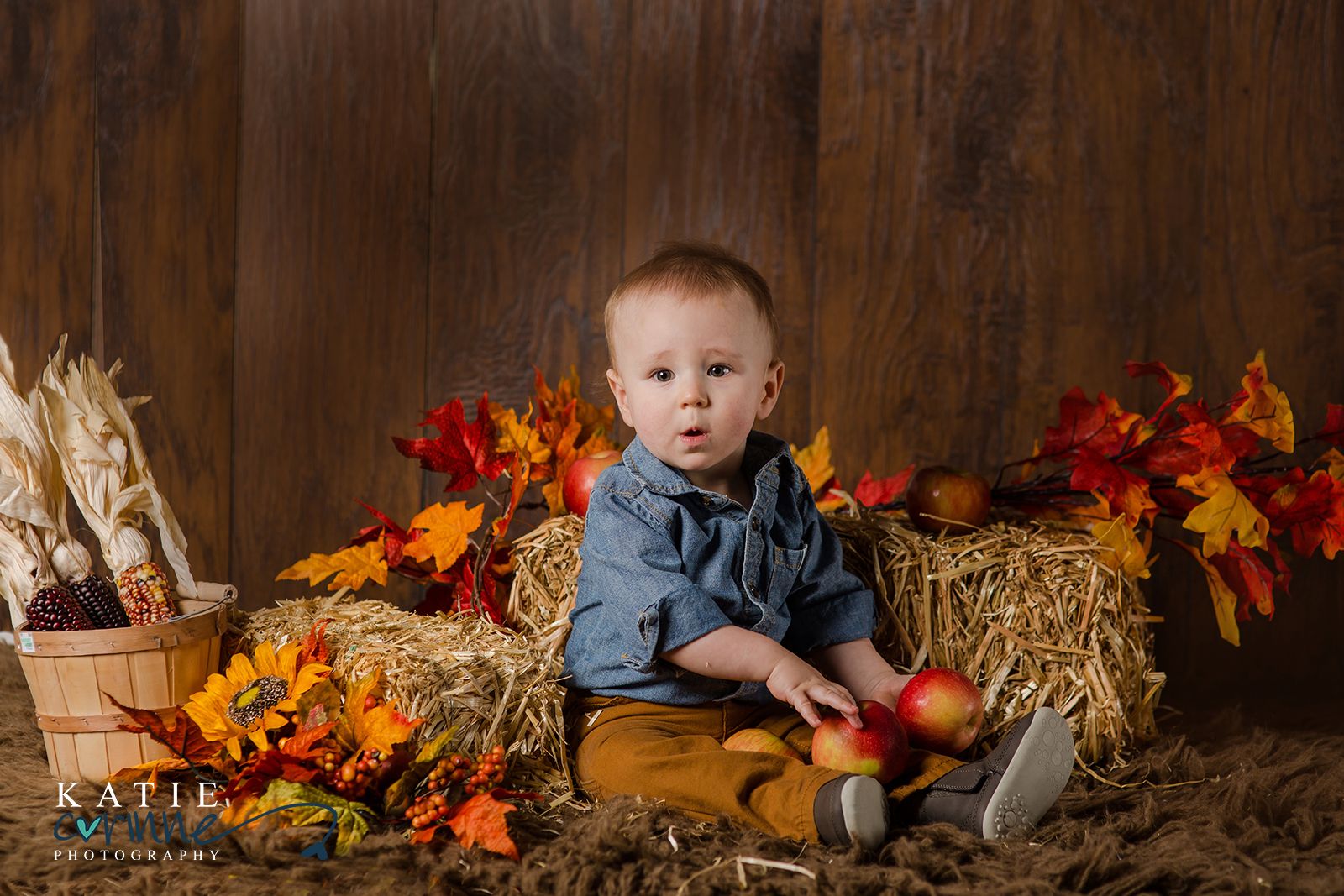 Под фото ребенку осенью Celebrating Matthew's First Birthday Fall baby pictures, Fall baby photos, First