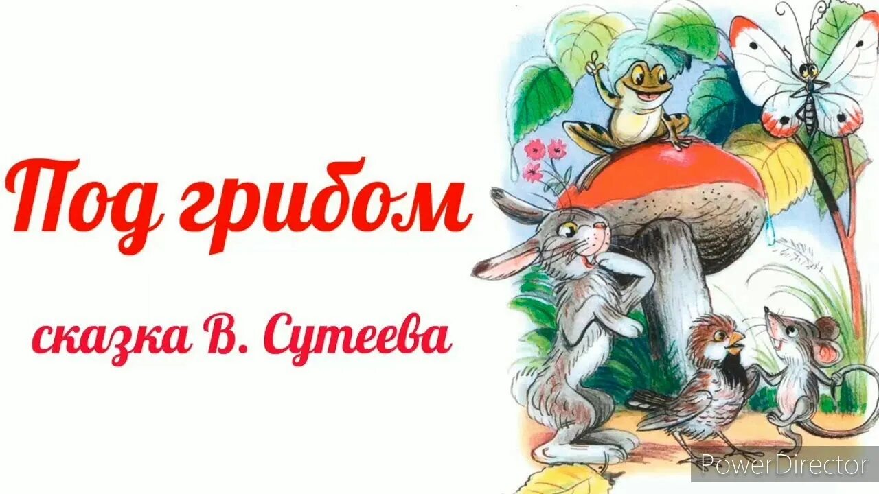 Под грибом фото Сказка "Под грибом" , В. Сутеев - YouTube