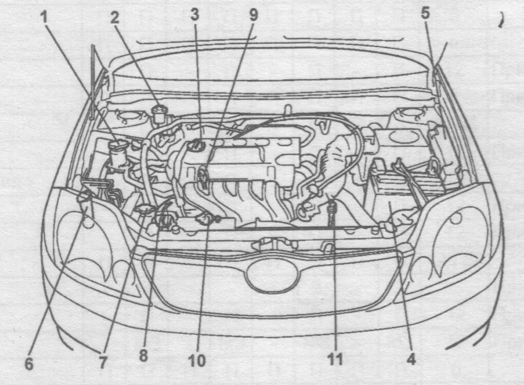 Под капотом схема фото Оборудование под капотом Toyota Fielder.