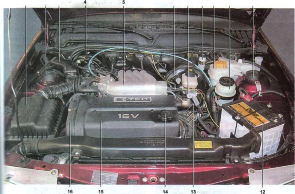 Под капотом схема фото Подушки капота, вибра и уплотнительная резинка - Daewoo Nexia, 1,6 л, 2008 года 