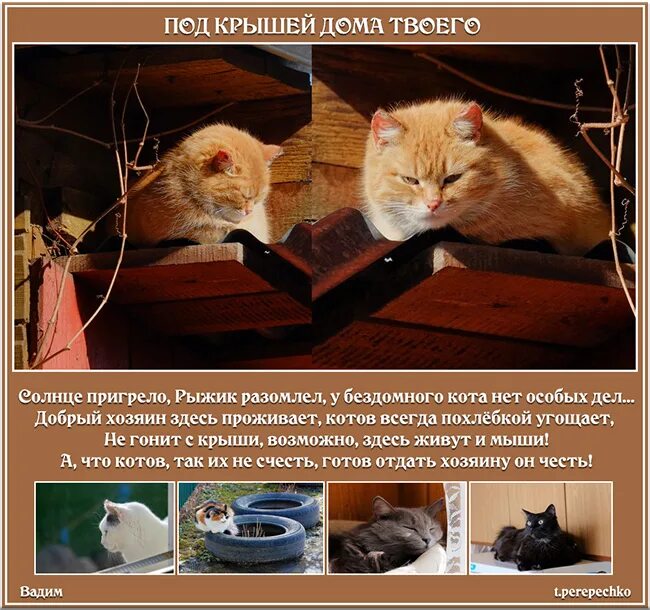 Под крышей дома твоего фото Под крышей дома твоего (Тамара Перепечко 2) / Стихи.ру
