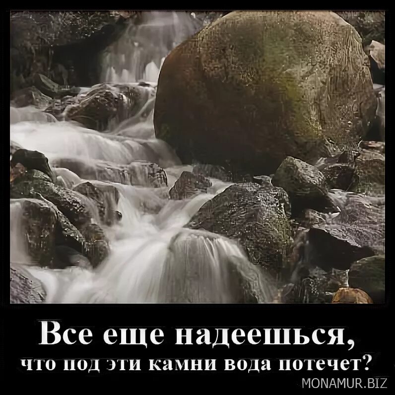 Под лежачий камень вода не течет фото Извините, что была груба, но откровенна, рецензия (Пименова Ксения) / Стихи.ру