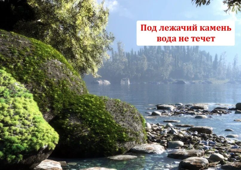Под лежачий камень вода не течет фото Posts Tagged 'water' Today we will talk about the proverb "Under a recumbent sto