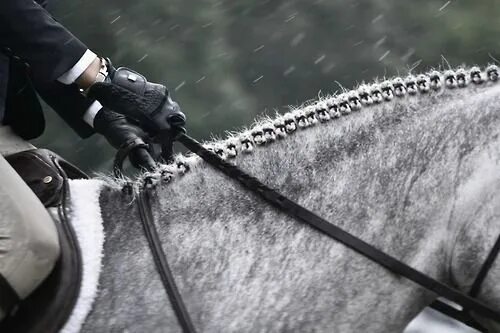 Под лошадью фото Ponies & Pearls Eventing horses, Equestrian, Horse mane