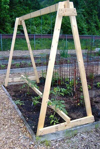 Под огурцы своими руками фото 53 Tomato Trellis Designs (Completely Free) Spring vegetable garden, Tomato trel