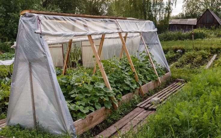 Под огурцы своими руками фото Обзор парников для огурцов (с фотографиями) Дела огородные (Огород.ru) Зеленые д