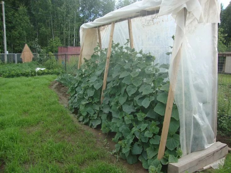 Под огурцы своими руками фото Чего только не придумают!!! Garten hochbeet, Garten, Hochbeet