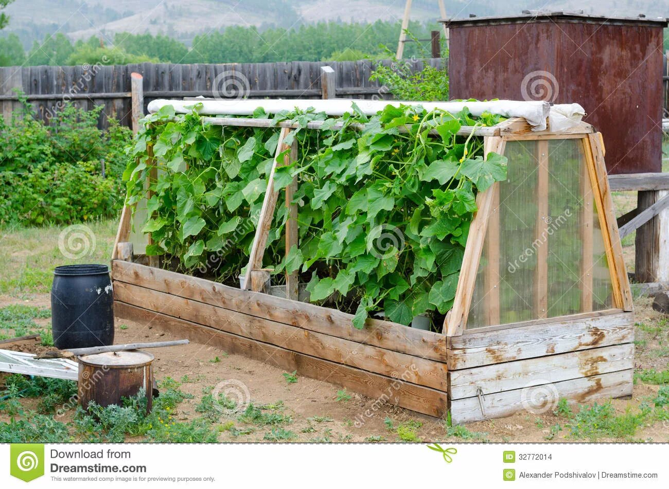 Под огурцы своими руками фото Cucumber hotbed stock photo. Image of handmade, green - 32772014