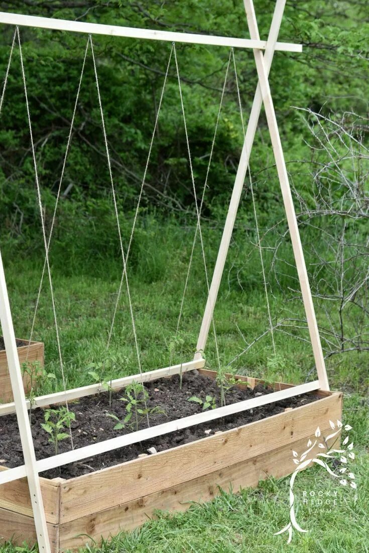 Под огурцы своими руками фото DIY String Trellis for Tomatoes: Boost Growth & Save Space. Jardín de vegetales,