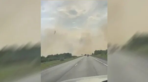 Под оренбургом фото Под Оренбургом в районе села Городище серьезный природный пожар - горят лесополо