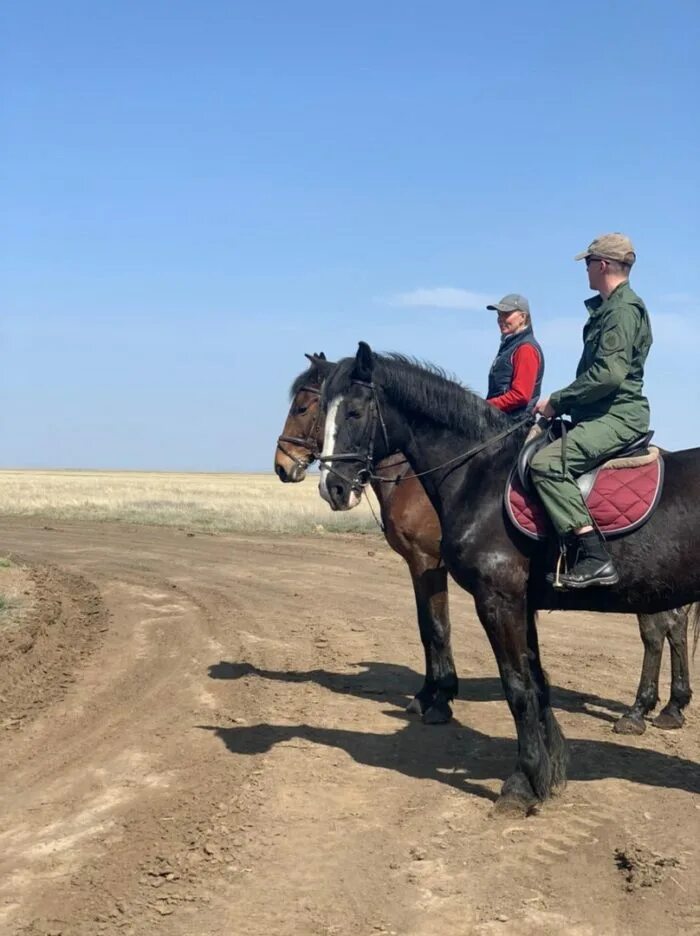 Под оренбургом фото На лошадях и пешком. Под Оренбургом прошли поиски Вячеслава Курапова