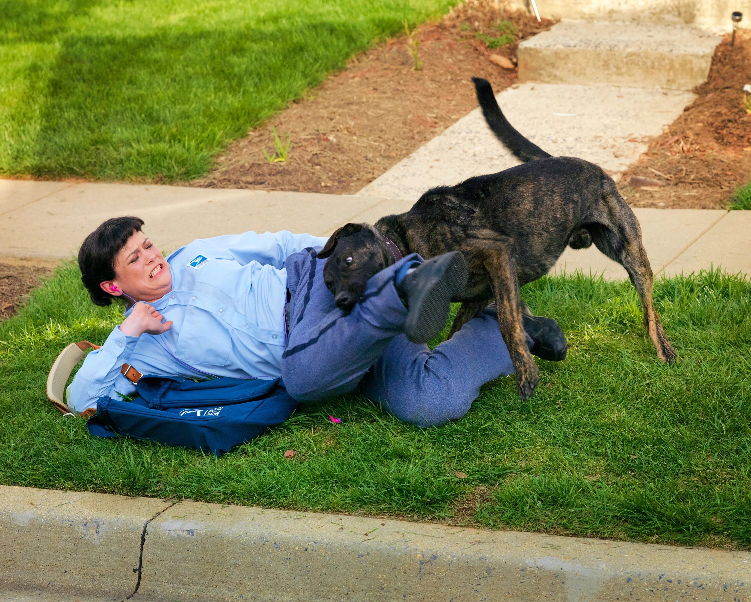 Под собакой фото Postal Service releases annual dog attack city rankings