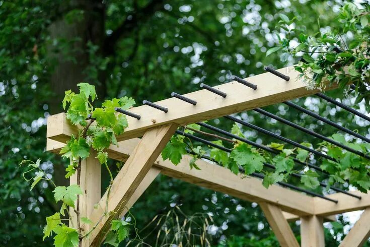 Под виноград своими руками фото Best climbing plants for pergolas Gartengestaltung, Gartengestaltung ideen, Perg