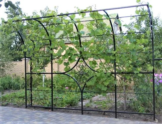 Под виноград своими руками фото Пергола ПС-24 - СПЕЦТОРГСТРОЙ