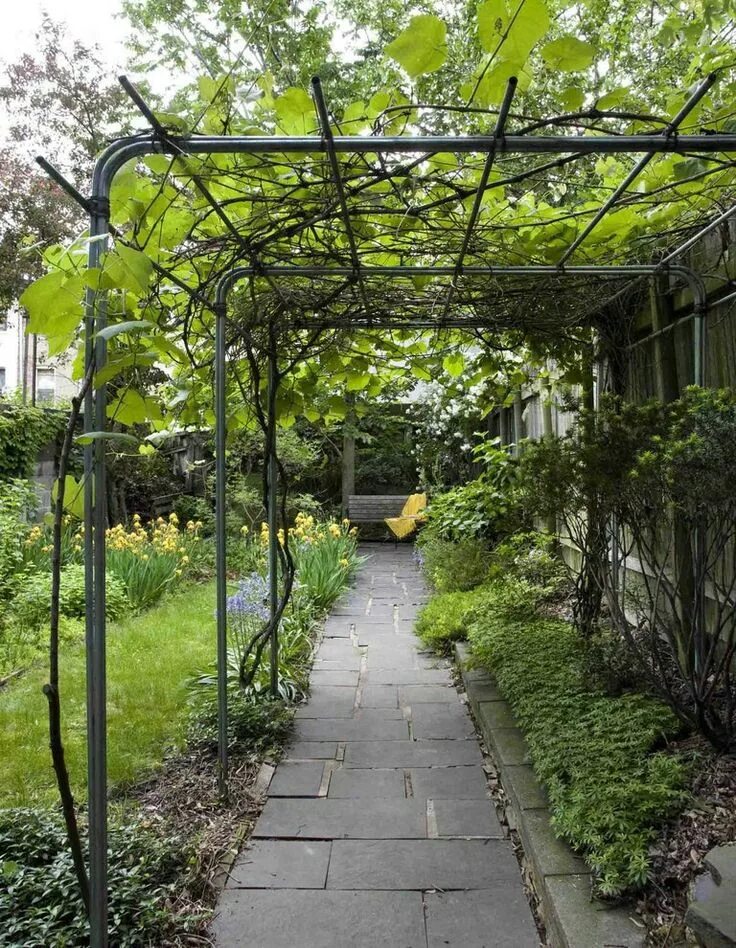 Под виноград своими руками фото metal trellis walkway Walkway landscaping, Garden vines, Garden structures