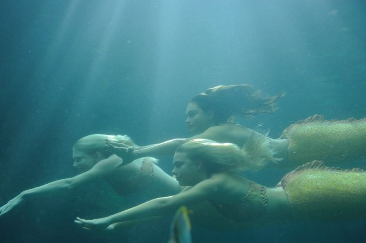 Под водой фильм фото Pin by Michelle on H2O Just Add Water S3 Mako mermaids, Photo, Mermaid