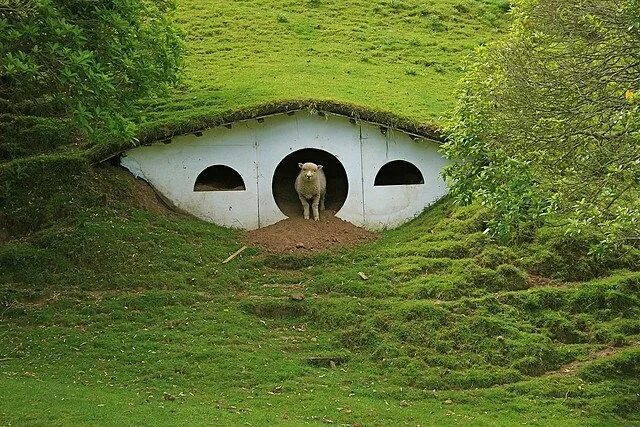 Под землей фото Sheep Have Taken Over Hobbit Holes on The Lord of The Rings Set Sheep shelter, E