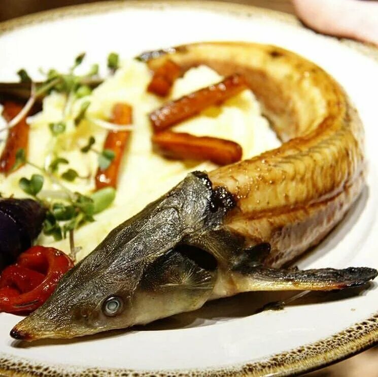 Подача осетра в ресторанах фото Siberian fish restaurant Thursday, restaurant, Россия, Новосибирск, Красный прос