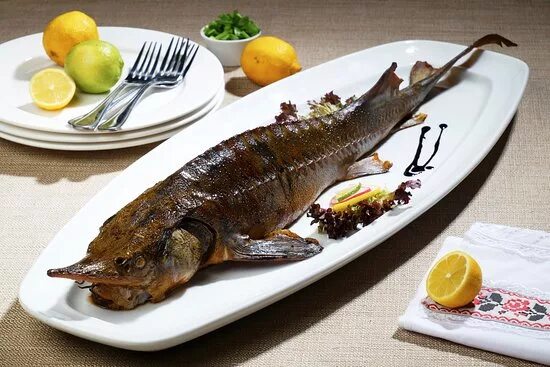 Подача осетра в ресторанах фото Вкусно, довольно уютно и слегка бардачно - отзыв о Рыбацкая деревня, Москва, Рос