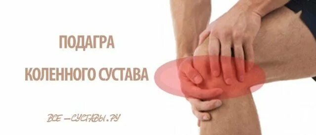 Подагра коленного сустава симптомы и лечение фото Подагра коленного сустава: симптомы и лечение в домашних условиях