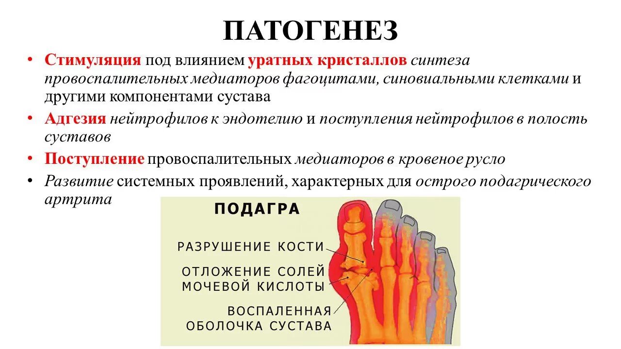 Подагра признаки начальная стадии фото Презентация - подагра " Привет Студент!