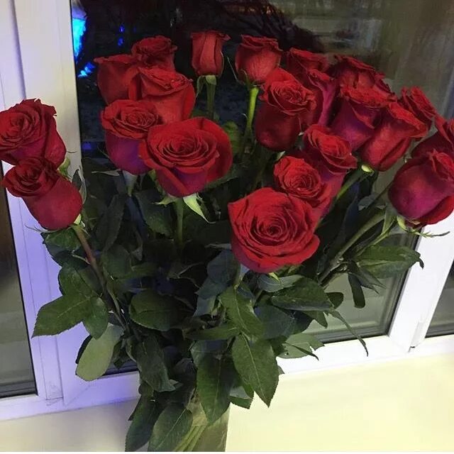 Подаренные букеты цветов фото Pin by EMILY on pretty lil things. Winter flower arrangements, Love rose flower,