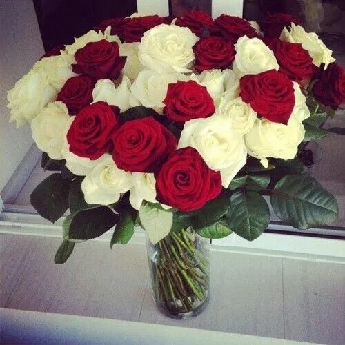 Подарил букет фото The most beautiful gift ever! Beautiful roses bouquet, Flowers wine, Pretty flow