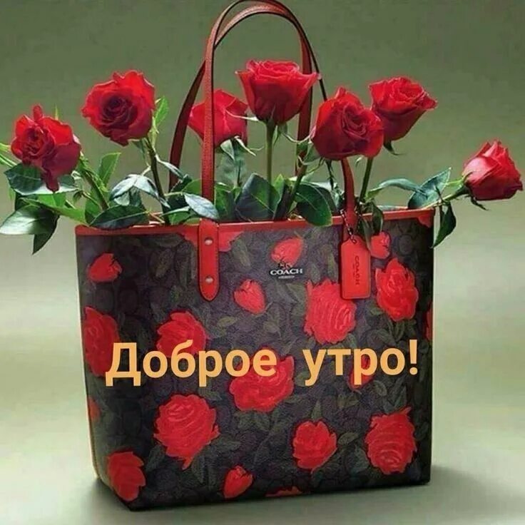 Подарки хорошего дня картинки Пин на доске пожелания Доброе утро, Милые открытки, Романтические идеи