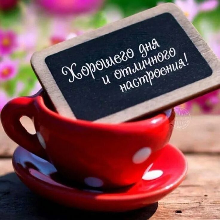 Подарки хорошего дня картинки Пин от пользователя Евгения на доске Красота и здоровье Утренние сообщения, Сооб
