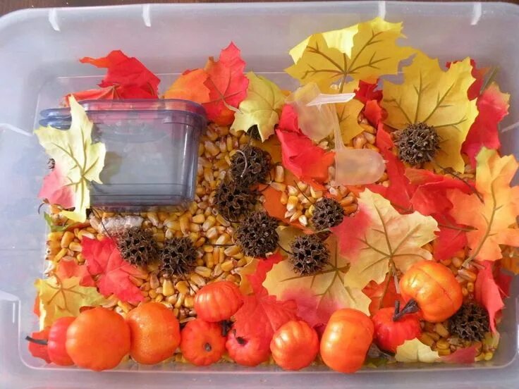 Подарки осени фото 100 Fall Sensory Boxes for Kids Sensory boxes, Fall crafts for kids, Fall presch