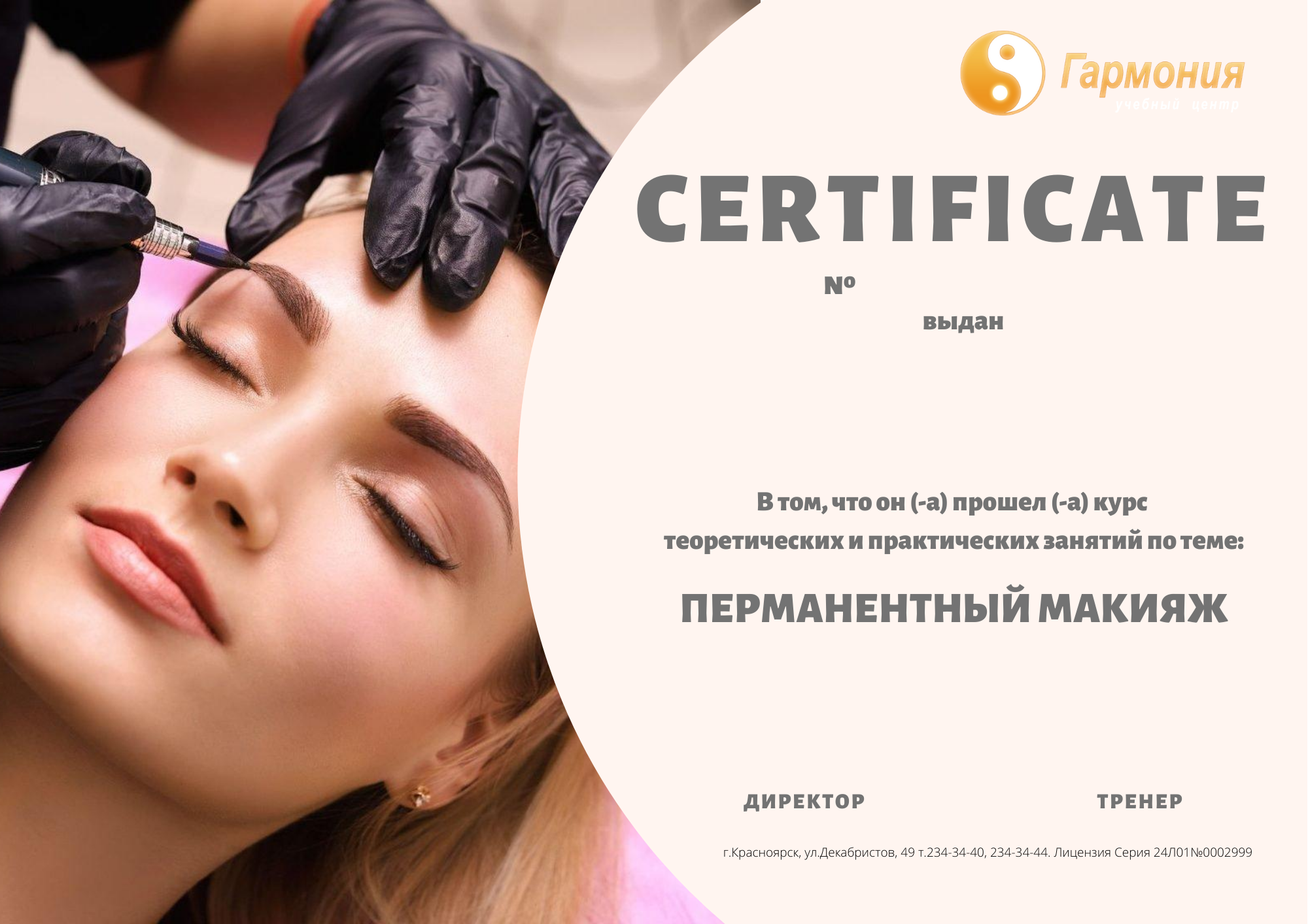 Подарочный сертификат на перманентный макияж бровей Пройти курс Перманентный макияж в Красноярске Учебный центр Гармония