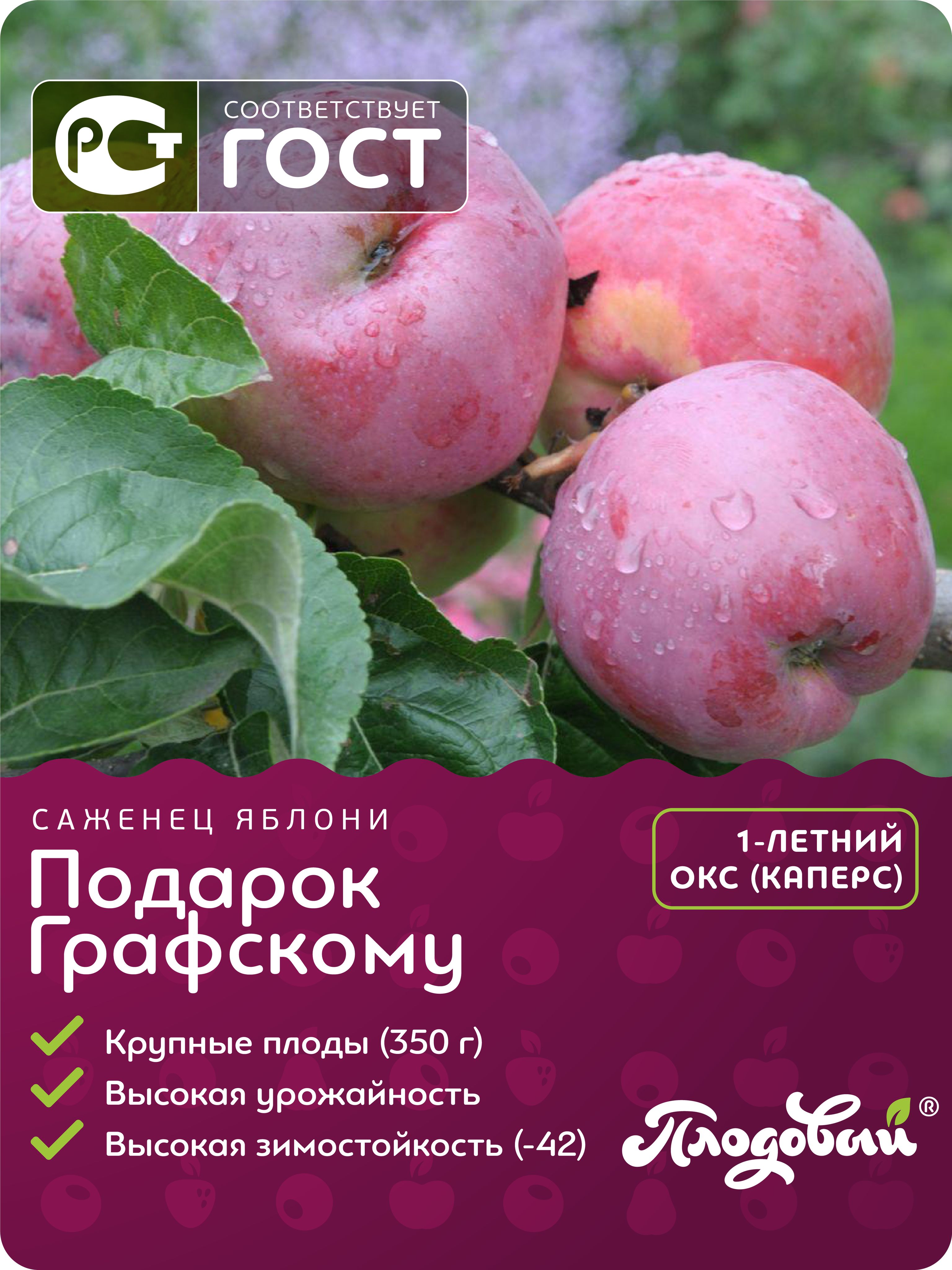 Подарок графскому описание сорта фото отзывы Плодовый Саженец,1шт - купить с доставкой по выгодным ценам в интернет-магазине 