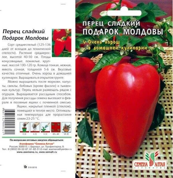 Подарок молдовы перец описание фото характеристика Перец Подарок Молдовы: характеристика и описание сладкого сорта с фото