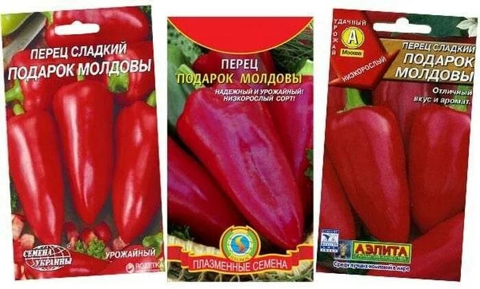 Подарок молдовы перец описание фото характеристика Перец болгарский подарок молдовы - найдено 84 картинок