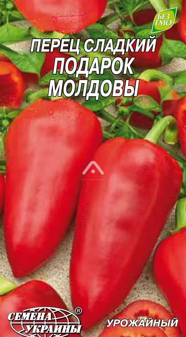 Подарок молдовы перец описание фото характеристика Подарок Молдовы: описание сорта, характеристика