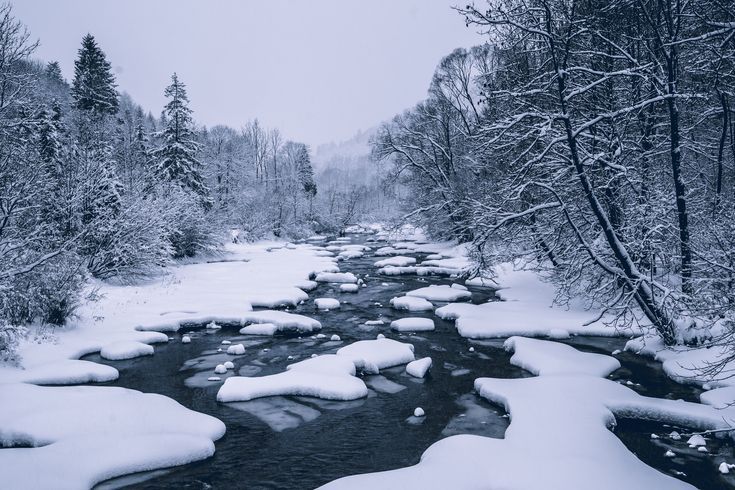 Подающий снег река фото Bieszczady, Poland. Winter in Bieszczady. The nature of Poland. Picturesque natu