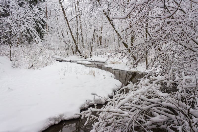 Подающий снег река фото Russian Forest in the Frosty January Day after the Strongest Snow Blizzard Stock