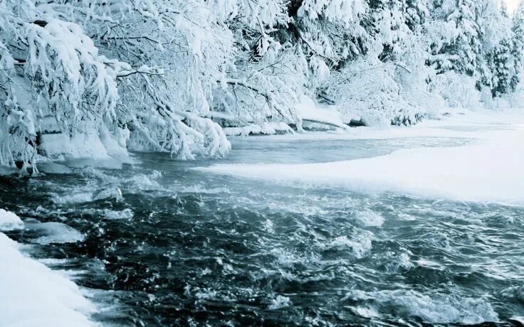 Подающий снег река фото Ice nature snow trees forest streams rivers nordic wallpaper 1920x1200 12386 Fre