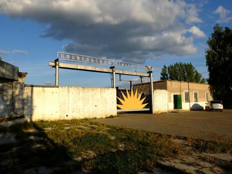 Подбельск самарская область фото Подбельская птицефабрика - ZAVODFOTO.RU - ПРОМБЛОГЕР № 1 В РОССИИ/ Я люблю расск