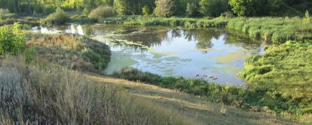 Подбельск самарская область фото Вопросы о Подбельске
