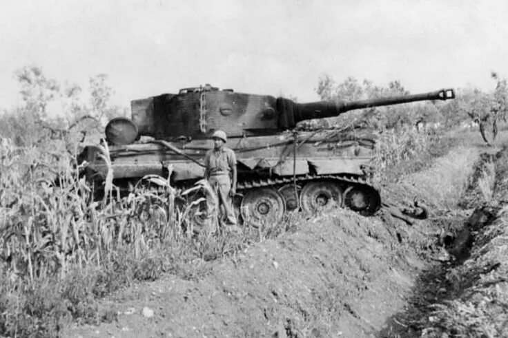 Подбитый танк тигр фото Tiger tank with steel whells of the Schwere Panzer Abteilung 508, Villa Bonnaza 